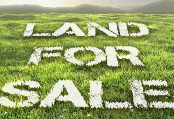 Land-for-Sale